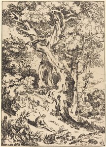 Studio di alberi e arbusti con figura seduta