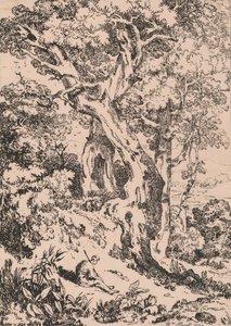 Studio di alberi e cespugli con figura maschile seduta da William Havell