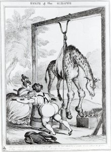Stato della giraffa, 1829 da William Heath