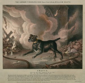 Il cane del pompiere di Londra