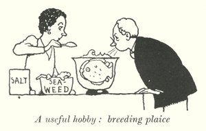 Un hobby utile, allevare sogliole da William Heath Robinson