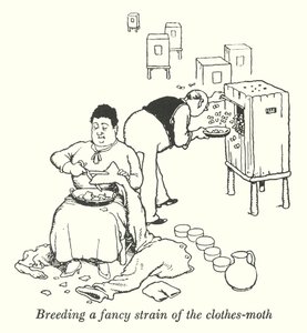 Allevare una razza speciale di tarme dei vestiti (litografia) da William Heath Robinson