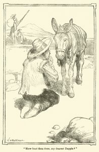 Illustrazione per Don Chisciotte da William Heath Robinson