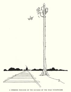 Illustrazione per Railway Ribaldry di W Heath Robinson da William Heath Robinson