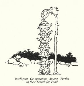 Cooperazione intelligente tra tartarughe nella ricerca di cibo da William Heath Robinson