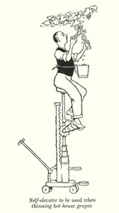 Elevatore automatico per diradare l