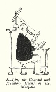 Studiando le Abitudini Asociali e Predatrici della Zanzara da William Heath Robinson
