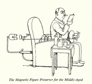 Il Preservatore Magnetico della Figura per la Mezza Età