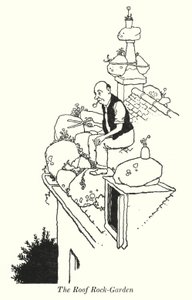 Il giardino roccioso sul tetto da William Heath Robinson