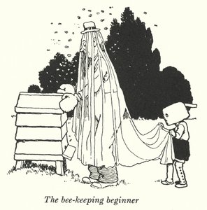 Il principiante dell