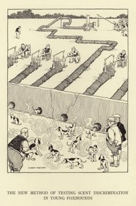 Il nuovo metodo di testare la discriminazione degli odori nei giovani segugi da William Heath Robinson