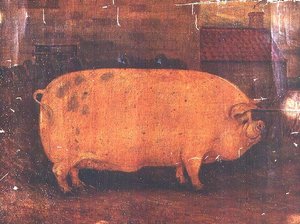 Il Maiale Premio Jumbo II da William Henderson
