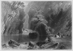 Il Dargle (incisione) da William Henry (after) Bartlett