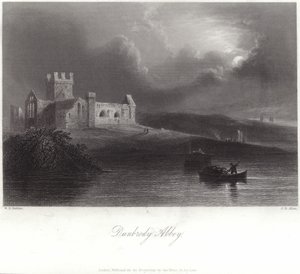 Abbazia di Dunbrody nella contea di Wexford da William Henry Bartlett