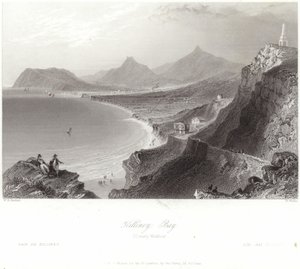 Baia di Killiney nella contea di Wicklow da William Henry Bartlett