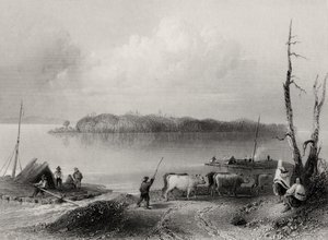 Navy Island, fiume Niagara, Ontario, Canada, inciso da Charles Coulson (1815-89)