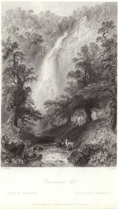 Cascata Powerscourt sul fiume Dargle da William Henry Bartlett