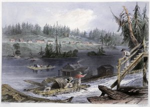 Trasporto del legno a "les Chats" - in "Canadian scenery illustrated" di Bartlett W. H. da William Henry Bartlett