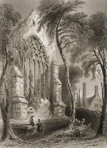 Abbazia di Youghal, Contea di Cork, Irlanda, da 