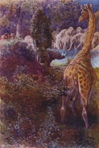 Illustrazione per The Gorilla Hunters di R M Ballantyne