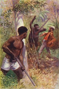 Illustrazione per I cacciatori di gorilla di R M Ballantyne