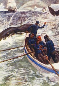 Illustrazione per Il Mondo del Ghiaccio o la Crociera di Caccia alla Balena del Delfino da William Henry Charles Groome
