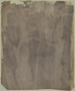 Campione botanico da William Henry Fox Talbot