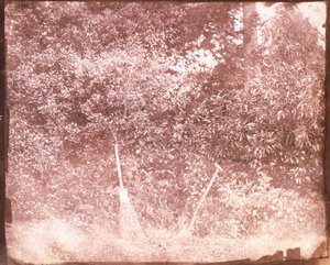 Scopa e vanga, 1842 da William Henry Fox Talbot