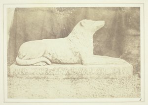 Effigie di Maida, il cane preferito di Sir W. Scott, a lato della porta del salone di Abbotsford
