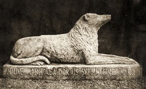 Statua di Maida, si dice fosse il cane preferito di Sir Walter Scott