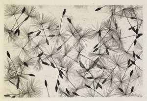 Talbot foto 24 1730 da William Henry Fox Talbot