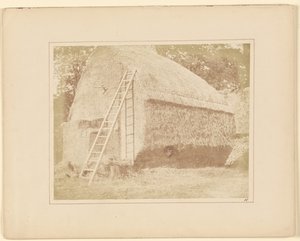 Il pagliaio da William Henry Fox Talbot