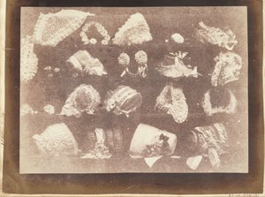 La vetrina della modista da William Henry Fox Talbot