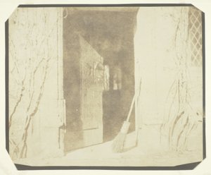 Il soliloquio della ginestra da William Henry Fox Talbot