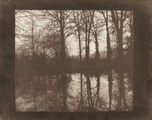 Alberi e riflessi da William Henry Fox Talbot