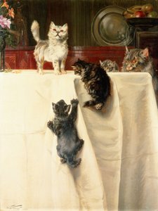 Gatti