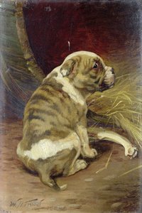 Dai un Osso a un Cane, 1888