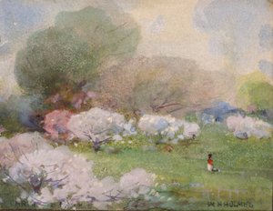 Fiori di ciliegio