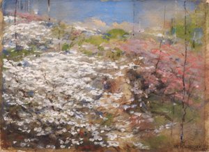 Campo di fiori da William Henry Holmes