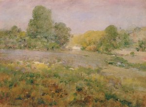 Campo di erbe variegate alla fine dell