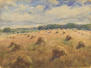 Campi di grano del Maryland