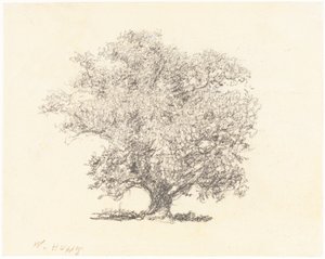 Un albero in piena foglia da William Henry Hunt