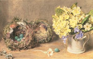 Fiori di Primavera e Nidi di Uccelli, c.1830 da William Henry Hunt