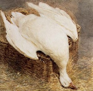 Natura morta di un
