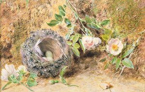 Natura Morta con Nido di Fringuello da William Henry Hunt