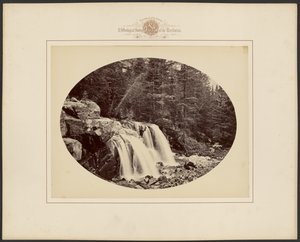  da William Henry Jackson