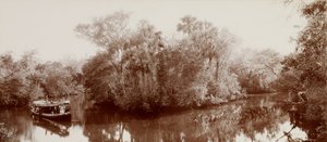 Sul Tomoka vicino a Ormond, Florida