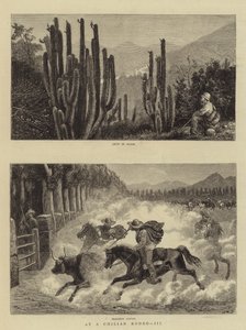 A un rodeo cileno, III