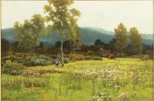 Verso casa