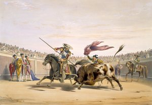 Il Toro che Segue la Carica, 1865 da William Henry Lake Price